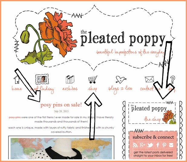 pleated poppy snapshot